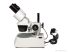 Levenhuk 3ST microscop